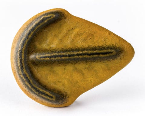 scientists reverse engineer fossils to understand ancient organisms