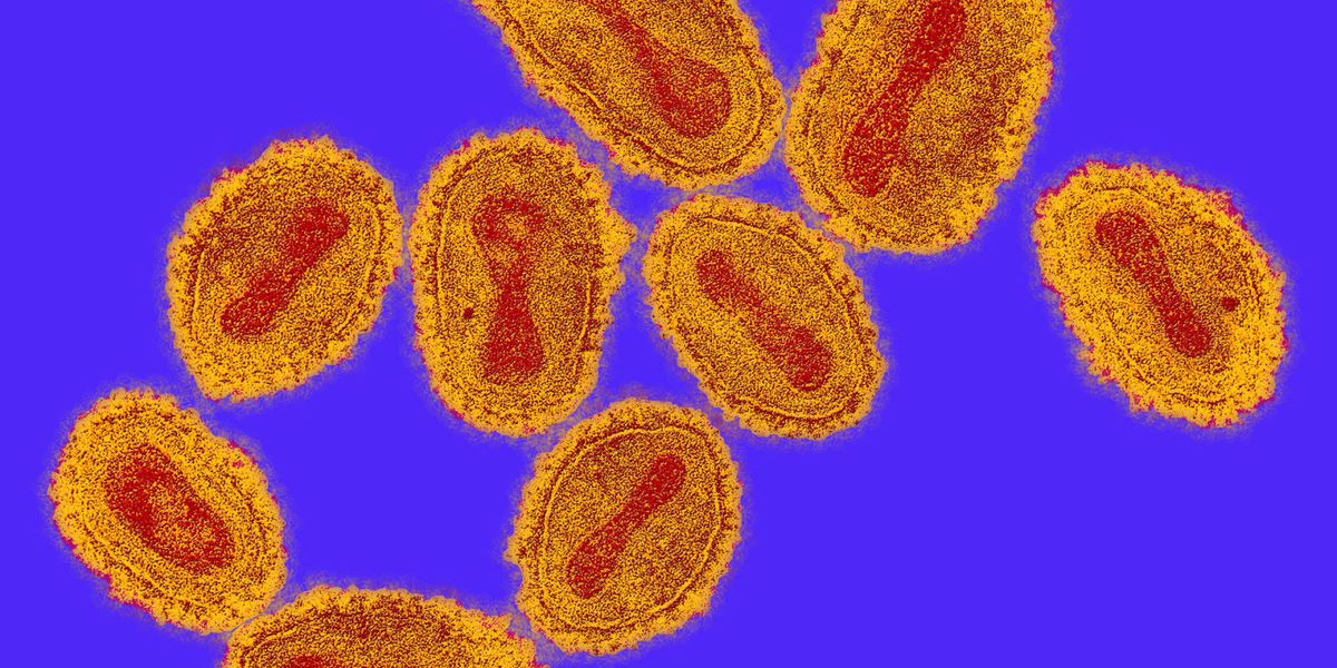 it-s-astonishingly-easy-to-bring-back-smallpox