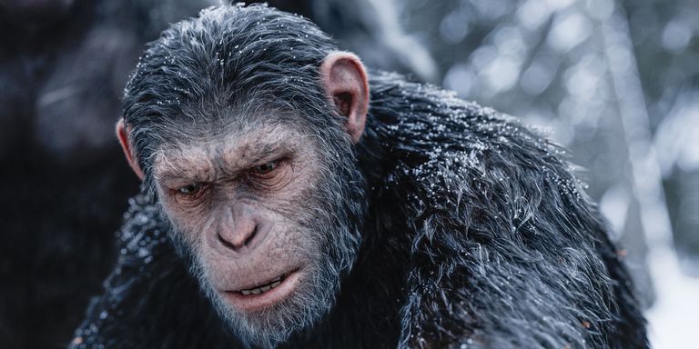 War for the Planet of the Apes Special Effects - Planet of the Apes FX