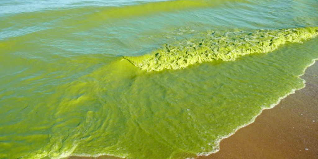 High Tech Solutions to Lake Erie's Toxic Algae Problem