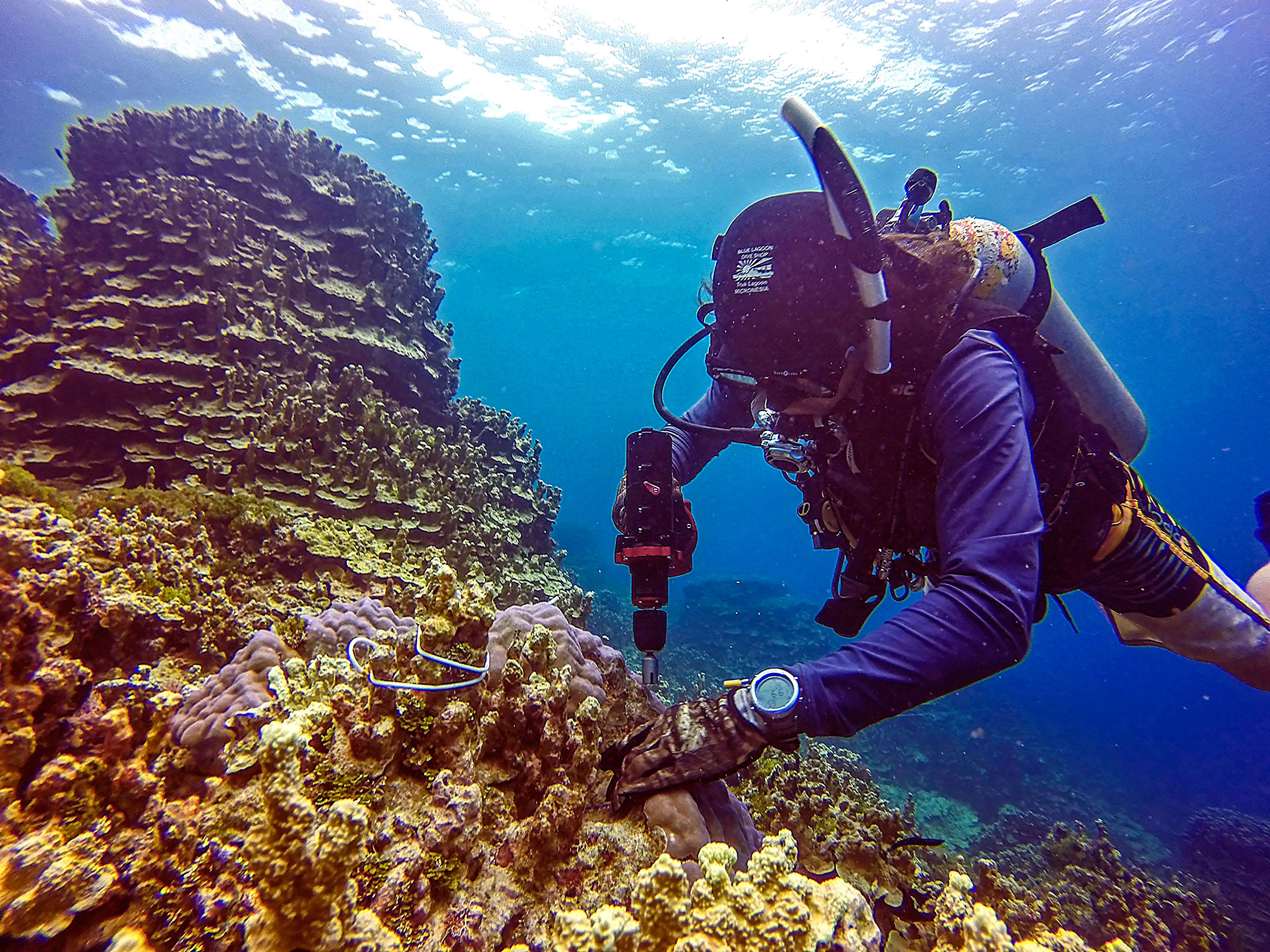 The Power Tools That Work Underwater