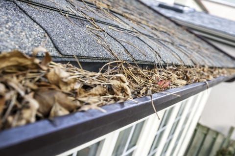 8 Home Repairs You Should Never Put Off Clogged Gutters