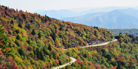 <p> If you're looking to slow down and take in the one-of-a-kind views, Blue Ridge Parkway was made for you. Low speed limits force you to slow down and take in your surroundings. </p>