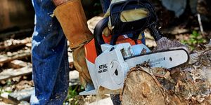 Chainsaw, Lumberjack, Tree, Saw chain, Soil, Hand, Tool, Wood chopping, 