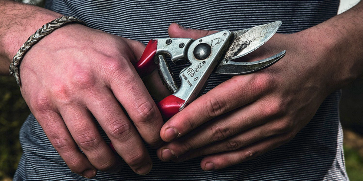 A Biased View of Felco 7 Hand Pruner - Gertens