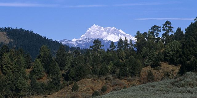 Mountainous landforms, Plant community, Mountain range, Highland, Mountain, Summit, Wilderness, Forest, Biome, Terrain, 
