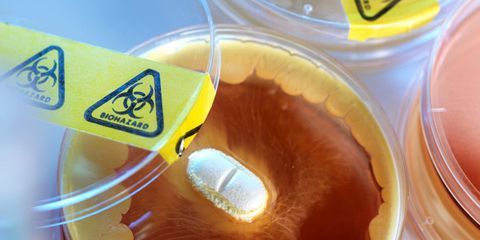 What Comes After Antibiotics? 5 Alternatives to Stop Superbugs