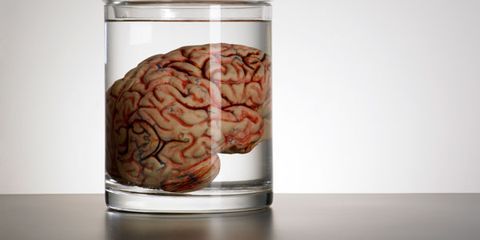 How Much of the Brain Can a Person Do Without?