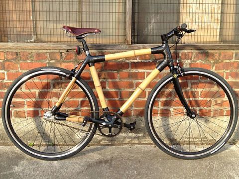 bamboo cycles