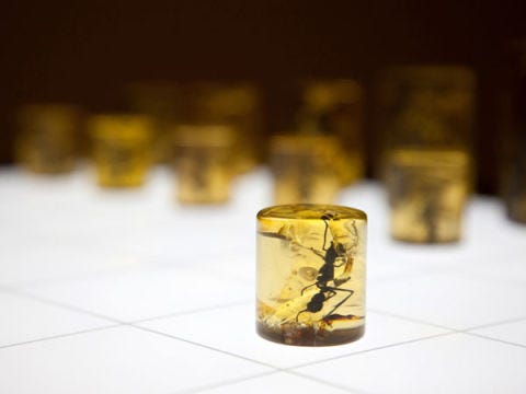 9 Bizarrely Beautiful DIY Chess Sets 9 Bizarrely Beautiful DIY Chess Sets