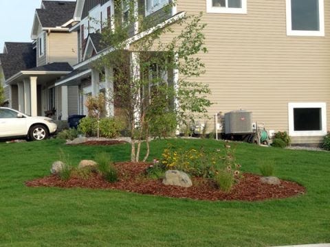 10 Top Landscaping Tips From the Pros