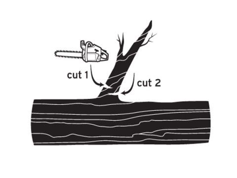 The Cut: Offset Cut and Snap