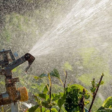 Hydrate Soil Before the Weather Changes Hydrate Soil Before the Weather Changes