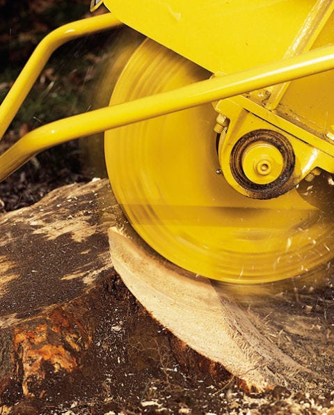 Image Result For Renting A Stump Grinder Image Result For Renting A Stump Grinder