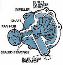 Replacing Your Water Pump
