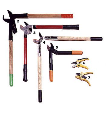 Pruning Tools Guide