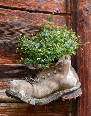 a plant growing out of a boot