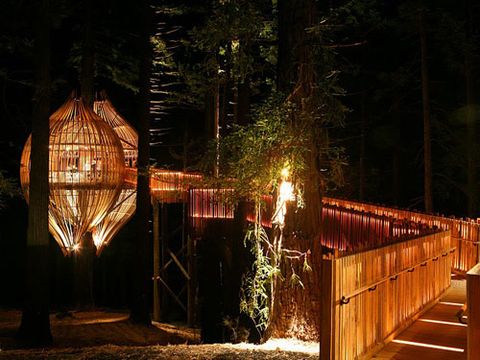 10 Best Treehouse Plans and Designs - Coolest Tree Houses Ever