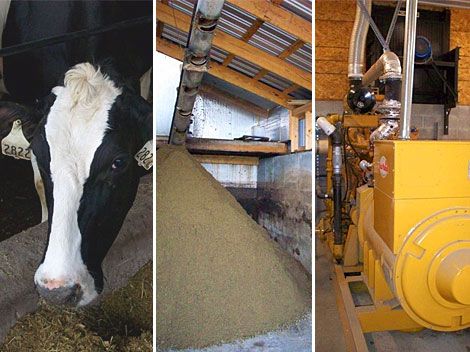 Cows To Kilowatts U S Farms Save Big Turning Manure To Energy