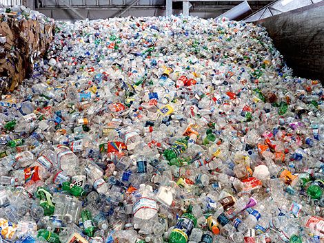 how much money can you make from recycling plastic bottles