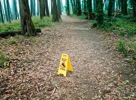 The Trail Boss S Guide To Leaf Cleaning At Home