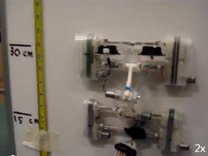 wall climbing geckobot