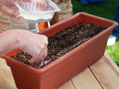 Indoor Vegetable Garden Diy Indoor Garden