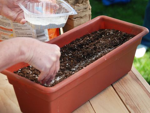 Prep the Soil and Plant the Seeds—When the Time is Right