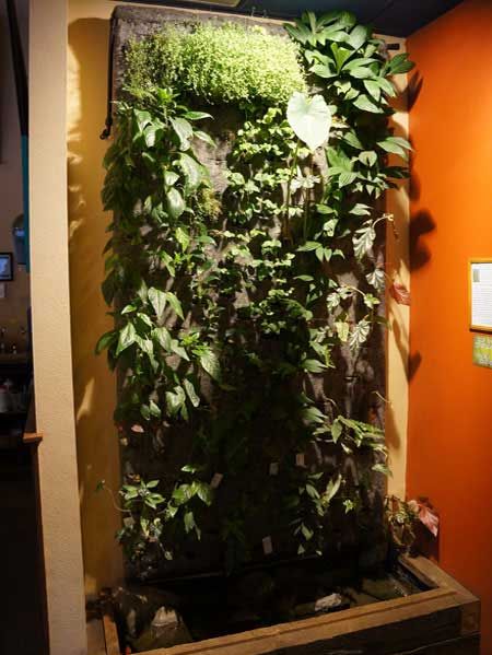How To Start A Vertical Garden - Indoor Wall Garden Diy