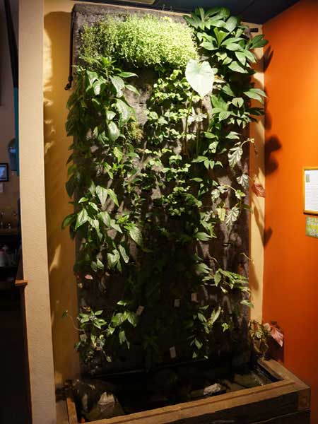 How To Start A Vertical Garden - Indoor Wall Garden Diy How To Start A Vertical Garden - Indoor Wall Garden Diy