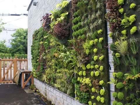 How To Start A Vertical Garden - Diy Vertical Garden Wall Outdoor