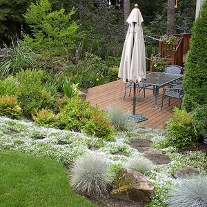 3 Ways Plants Can Help You Control Erosion, Landscaping Ideas To Stop Erosion