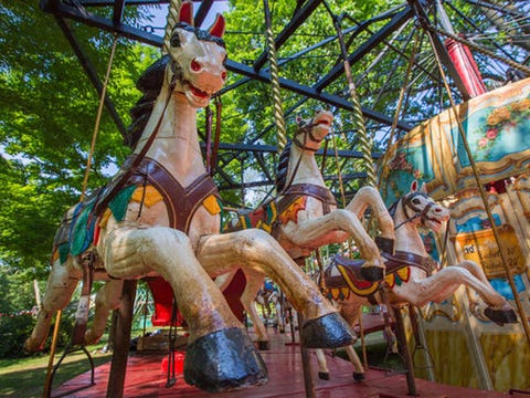 carnival contrivances a brief