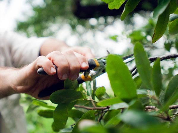 7 Fall Gardening Jobs That Will Make Your Life Easier