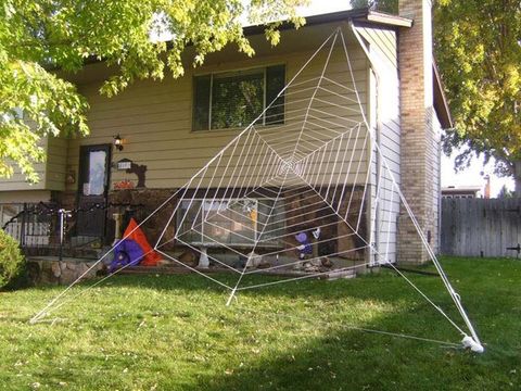 Gigantic Halloween Spider Web