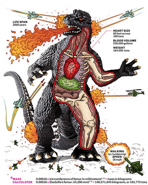 the impossible anatomy of godzilla