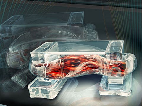 These Tiny Robots Are Powered by Living Tissue