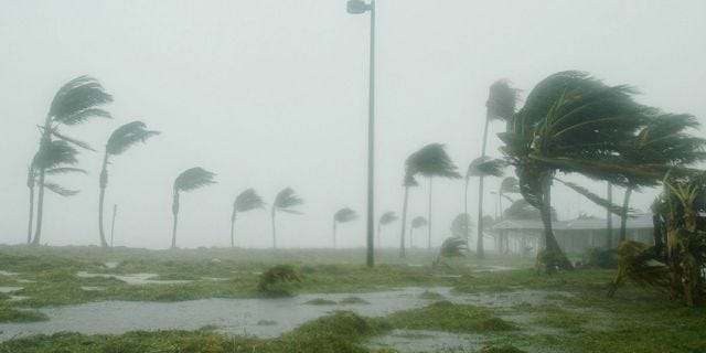 Pop Machine For Sale >> The Real Danger of Flying Debris in a Hurricane Pop Machine For Sale >> The Real Danger of Flying Debris in a Hurricane