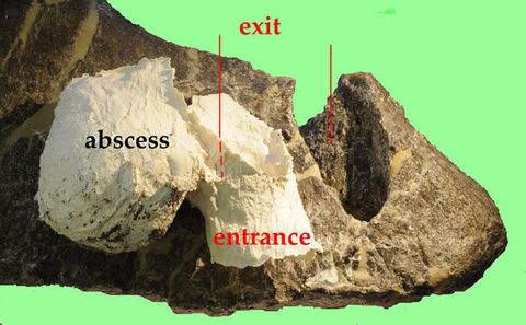 Kallio, Geologia, tähtitieteellinen esine, Arkeologia, 