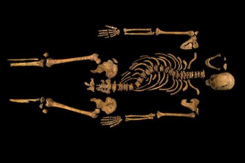 Richard Iii S Bones Confirmed By Scientists Remains Of Richard Iii Identified By Dna