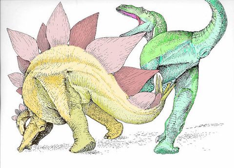 Organismo di Vertebrati, di Rosa, di Adattamento, di animali Terrestri, Arte, Dinosauro, Iguania, Illustrazione, Cartone animato, 