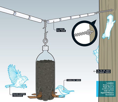 how to build a squirrel proof bird feeder