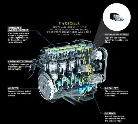 2010 honda civic oil pressure switch location