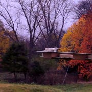 Branch, Deciduous, Leaf, Plant community, Tree, Woody plant, Twig, Autumn, Biome, Temperate broadleaf and mixed forest, Branch, Deciduous, Leaf, Plant community, Tree, Woody plant, Twig, Autumn, Biome, Temperate broadleaf and mixed forest,
