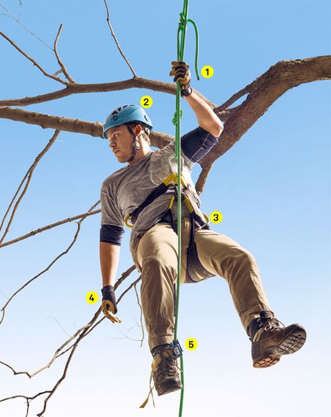 The Gear You Need to Climb the Trees