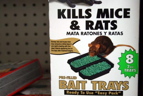 How to Get Rid of Mice | Weapons of
