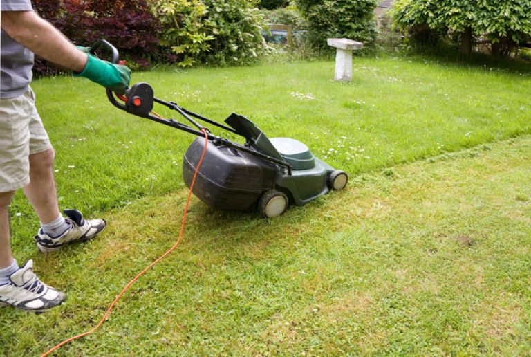 Organic Lawn Care and Maintenance Tips - Natural Lawn Care