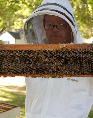 Urban Beekeeping - Photos of Suburban and City Beekeepers