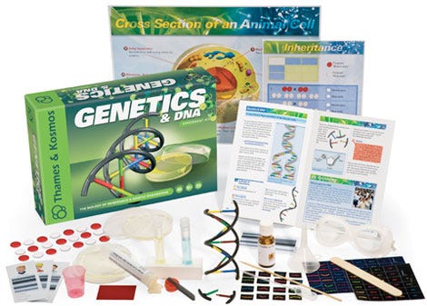 8 Science Kit Reviews And 8 Diy Experiments You Can Do For Free