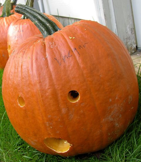 15 Pumpkin Carving Pictures – Extreme Jack O Lantern Pictures